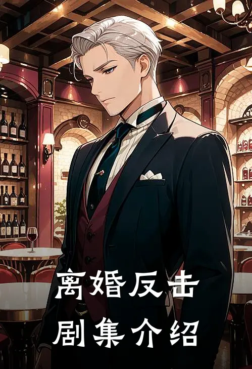 离婚反击剧集介绍